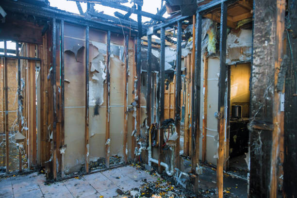 Professional Odor Removal technician working in Stow, OH